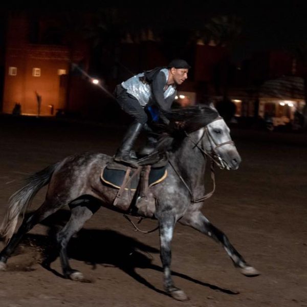 Stunt rider standing on a galloping horse at Chez Ali
